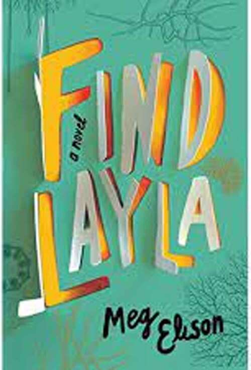 Book cover of Find Layla