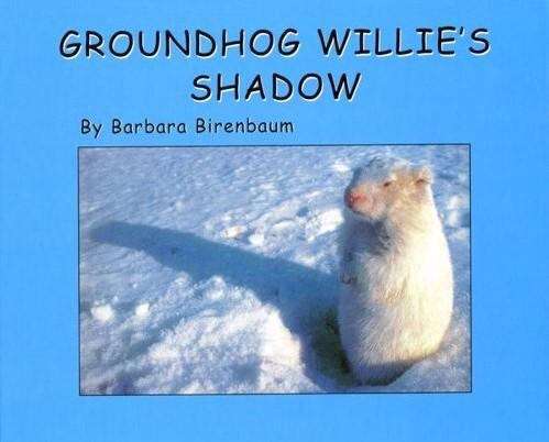 Book cover of Groundhog Willie's Shadow