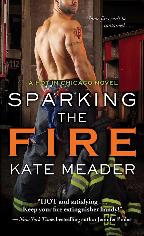 Sparking the Fire (Hot in Chicago #3)