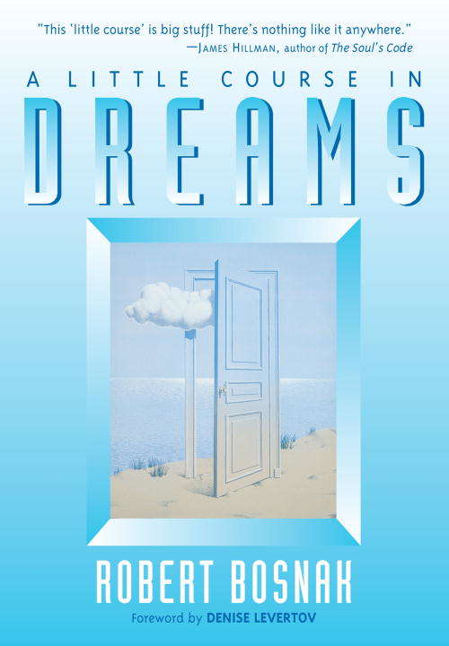 Book cover of A Little Course in Dreams