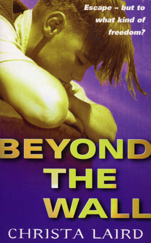 Book cover of Beyond The Wall