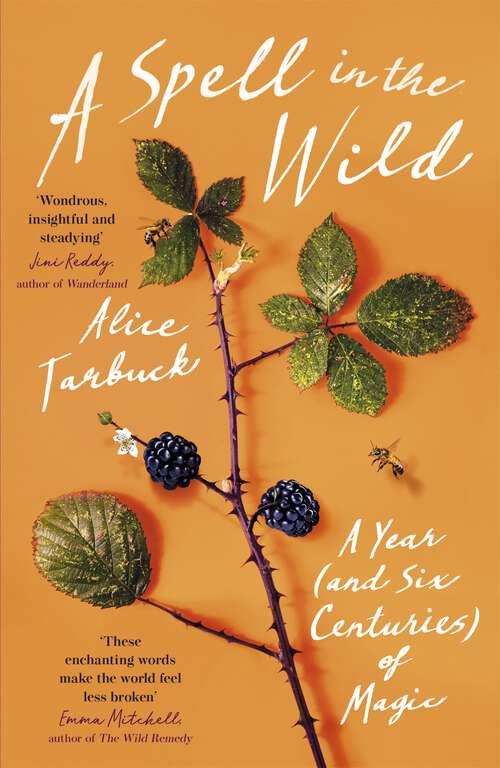 Book cover of A Spell in the Wild: A Year (and six centuries) of Magic