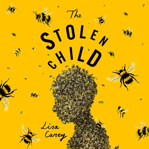 Book cover of The Stolen Child