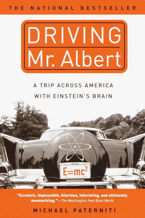 Book cover of Driving Mr. Albert