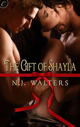 Book cover of The Gift of Shayla