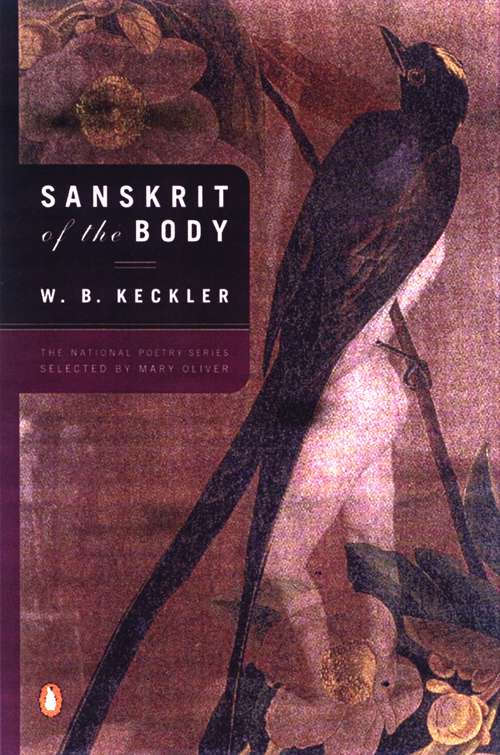 Book cover of Sanskrit of the Body