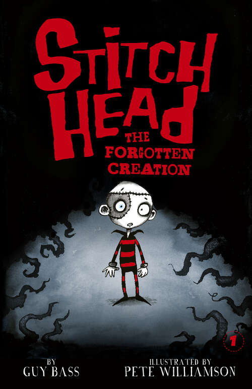 Book cover of The Forgotten Creation (Stitch Head)