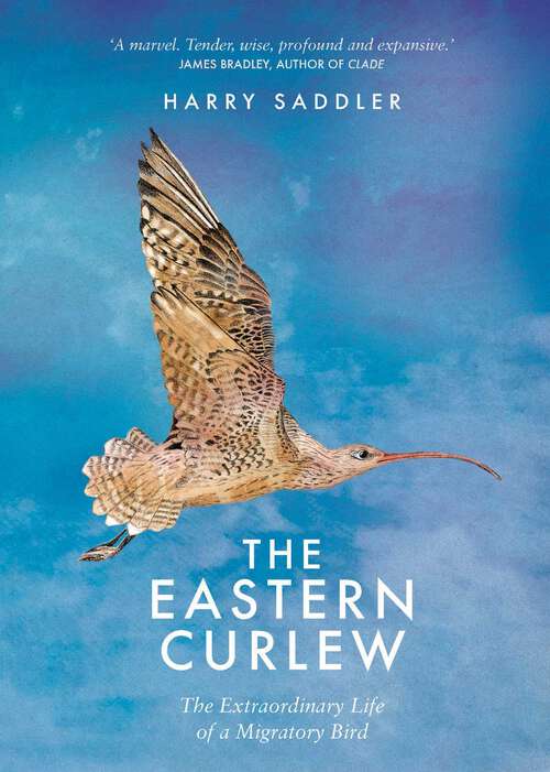 Book cover of The Eastern Curlew