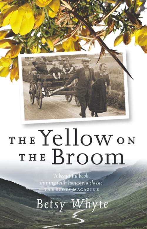Book cover of The Yellow on the Broom: The Early Days Of A Traveller Woman