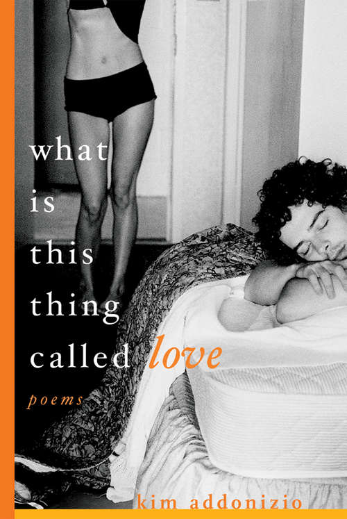 Book cover of What Is This Thing Called Love: Poems