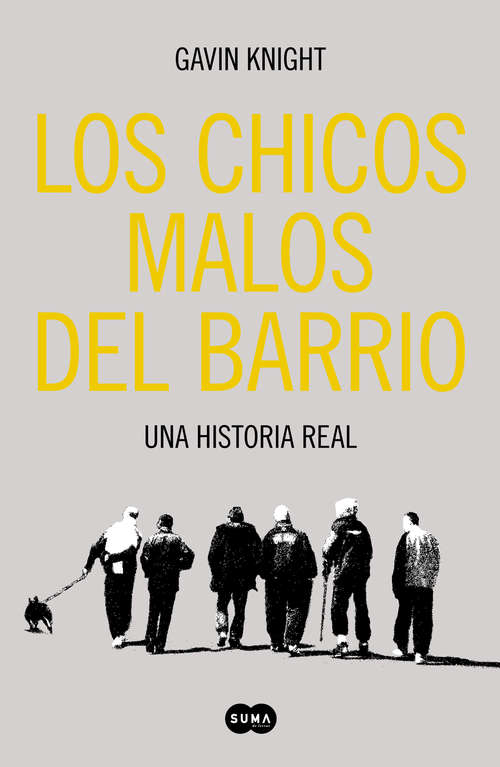 Book cover of Los chicos malos del barrio