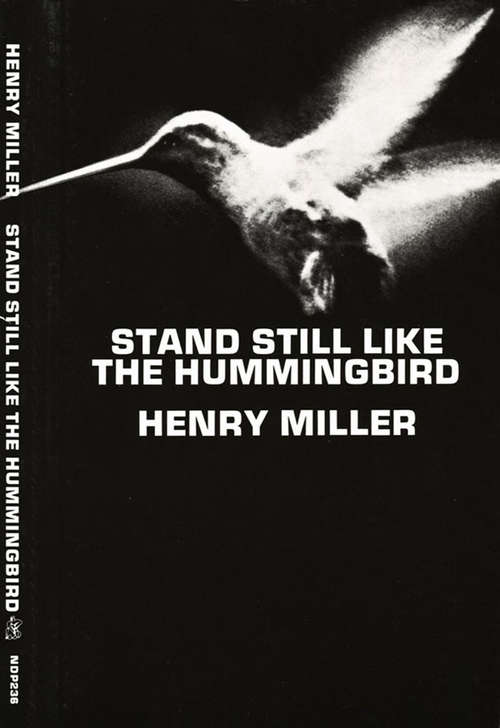 Book cover of Stand Still Like the Hummingbird