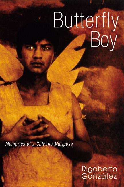 Book cover of Butterfly Boy: Memories of a Chicano Mariposa