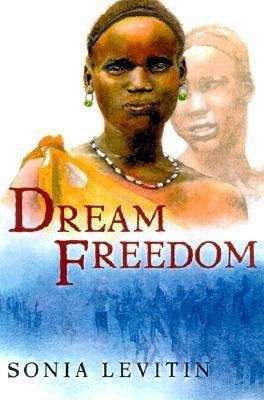 Book cover of Dream Freedom