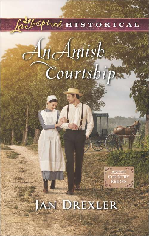 Book cover of An Amish Courtship
