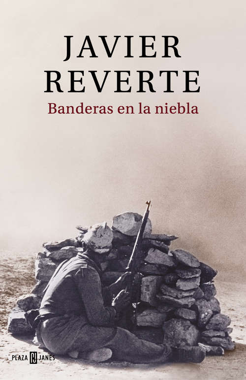 Book cover of Banderas en la niebla