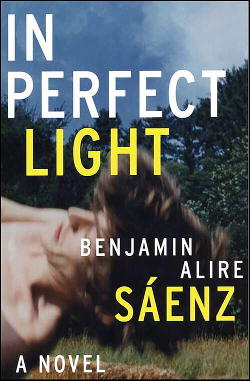 Book cover of In Perfect Light: A Novel