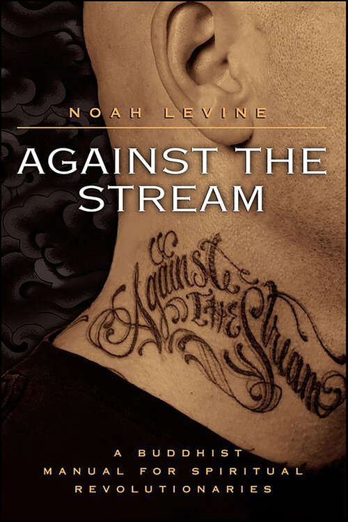 Book cover of Against the Stream: A Buddhist Manual for Spiritual Revolutionaries
