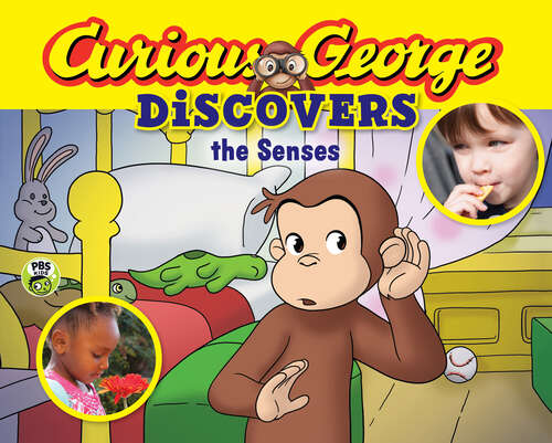 Book cover of Curious George Discovers the Senses (Curious George)