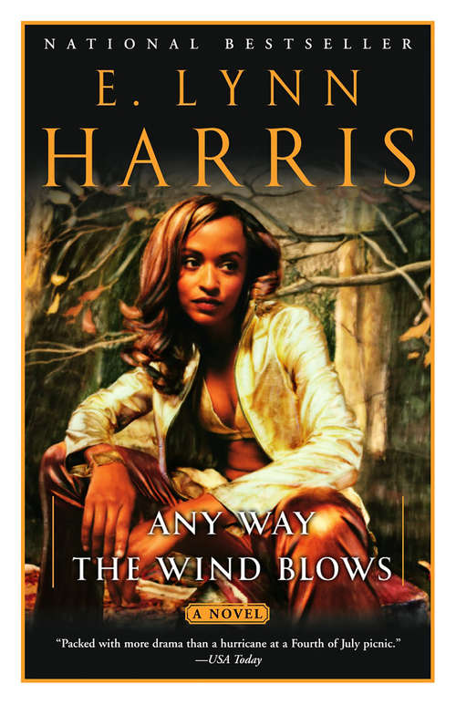 Book cover of Any Way the Wind Blows: A Novel