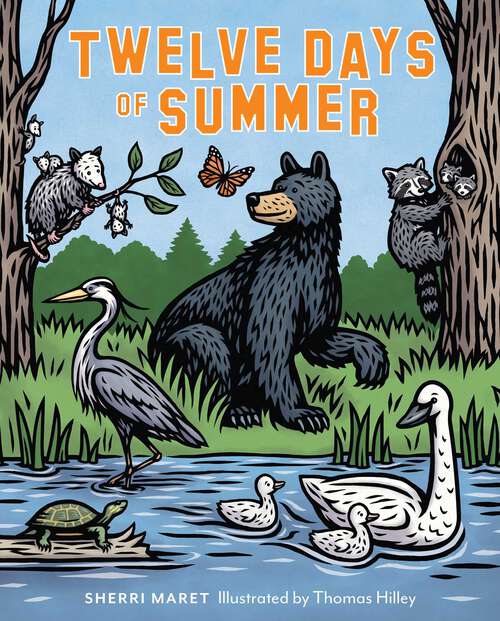 Book cover of Twelve Days of Summer