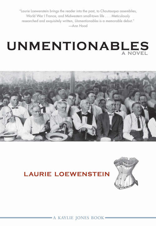 Book cover of Unmentionables: A Novel