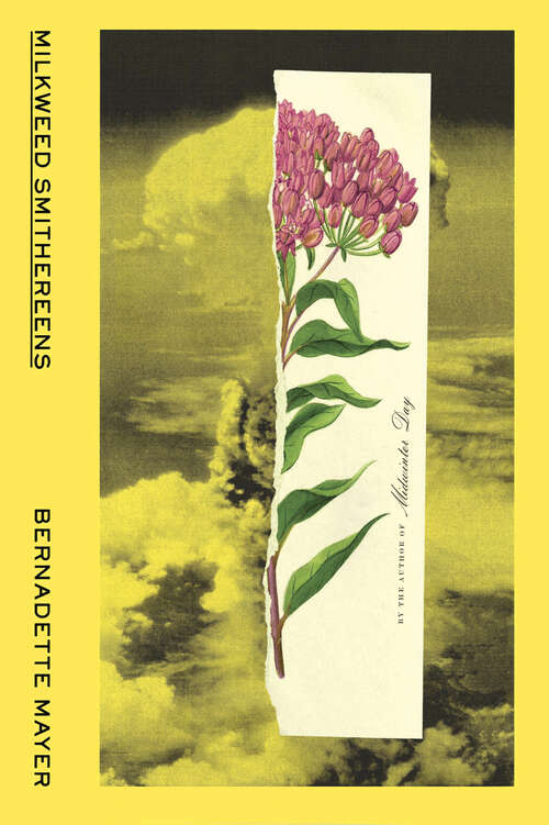 Book cover of Milkweed Smithereens