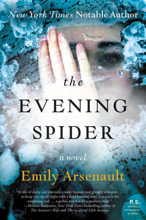 Book cover of The Evening Spider