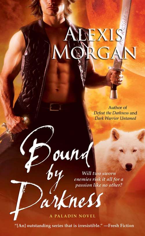 Book cover of Bound by Darkness: A Paladin Novel