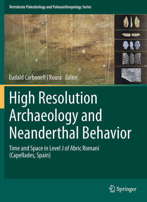 Book cover of High Resolution Archaeology and Neanderthal Behavior