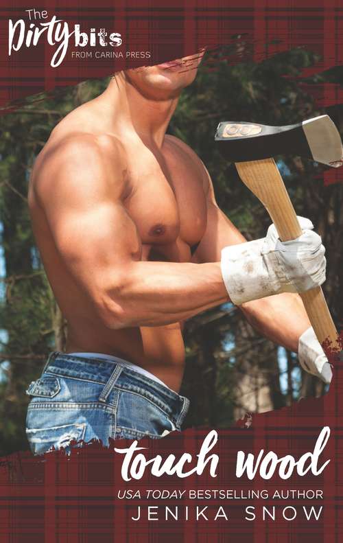 Book cover of Touch Wood (The Ash Brothers #3)
