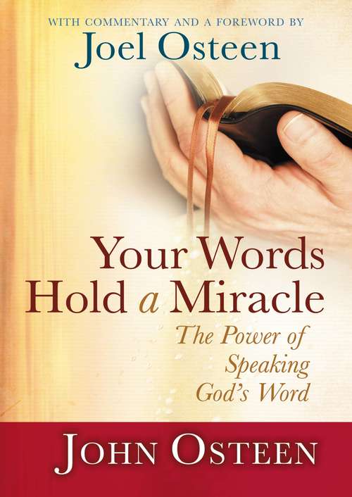 Book cover of Your Words Hold a Miracle: The Power of Speaking God's Word