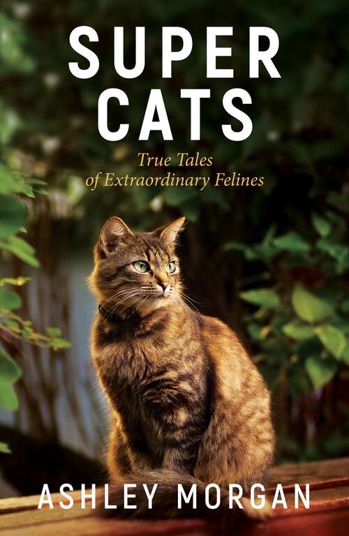 Book cover of Super Cats: Inspirational True Stories of Real-Life Cat Heroes That Will Melt Your Heart