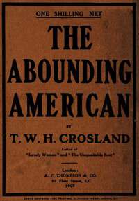 Book cover of The Abounding American
