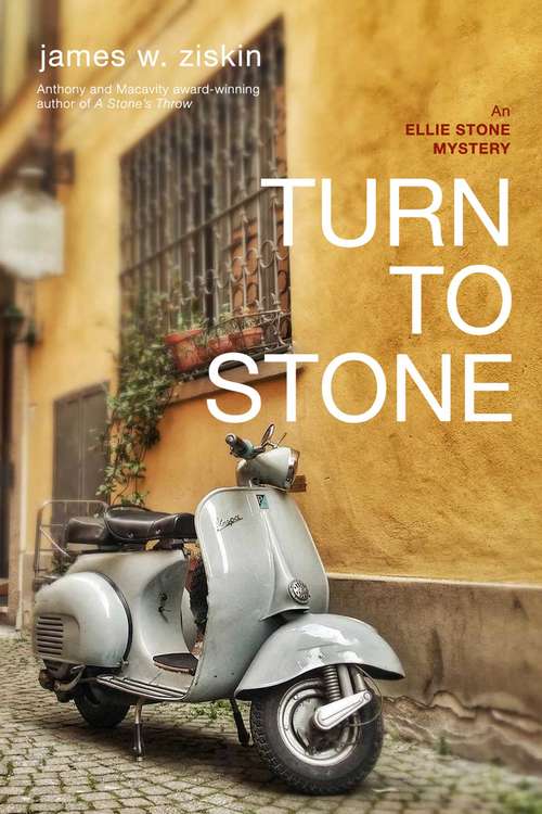 Book cover of Turn to Stone: An Ellie Stone Mystery (An Ellie Stone Mystery #7)