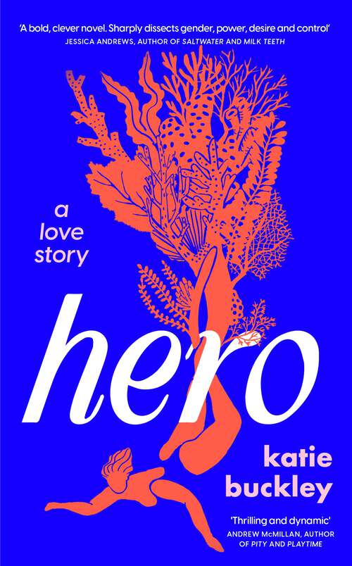 Book cover of Hero: A fierce and captivating literary love story for 2025