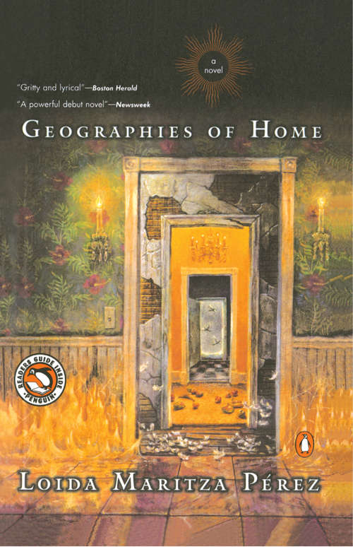 Book cover of Geographies of Home