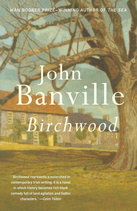 Book cover of Birchwood