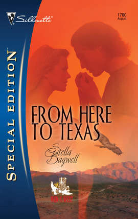 Book cover of From Here to Texas