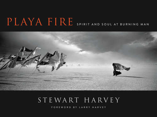 Book cover of Playa Fire: Spirit and Soul at Burning Man