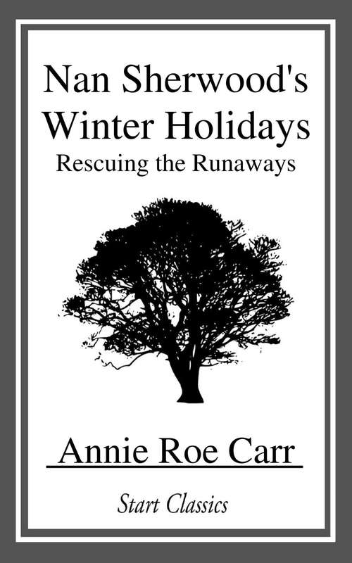 Nan Sherwood's Winter Holidays: Rescuing the Runaways