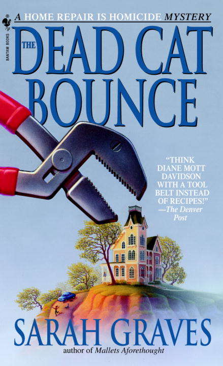 Book cover of The Dead Cat Bounce: A Home Repair is Homicide Mystery