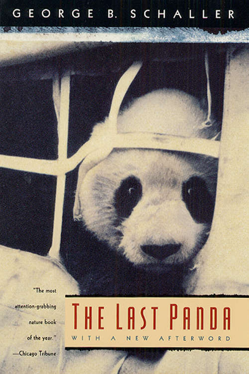 Book cover of The Last Panda