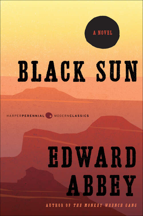 Book cover of Black Sun
