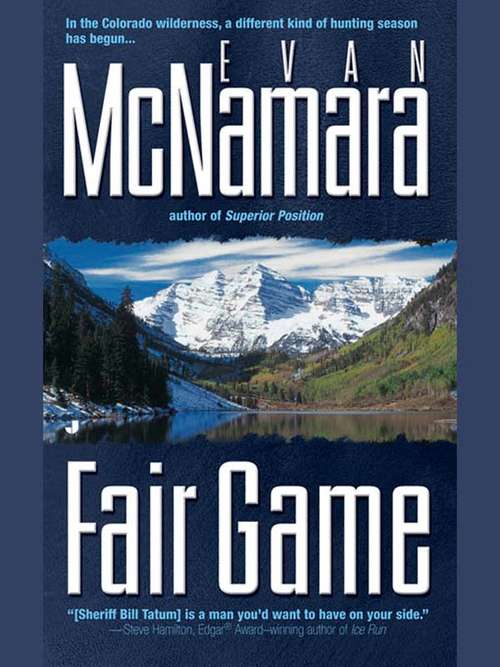 Book cover of Fair Game
