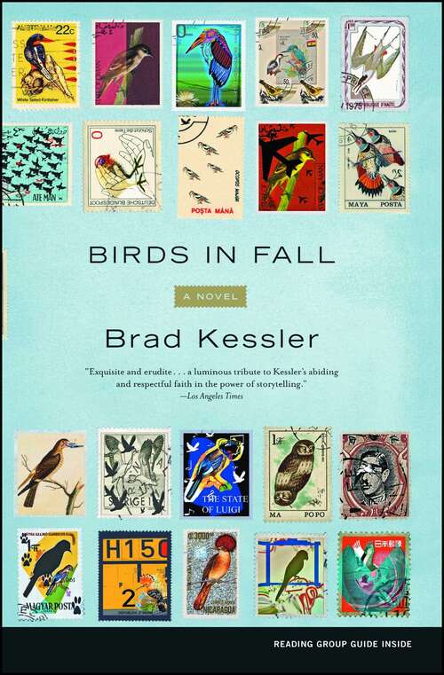 Book cover of Birds in Fall: A Novel