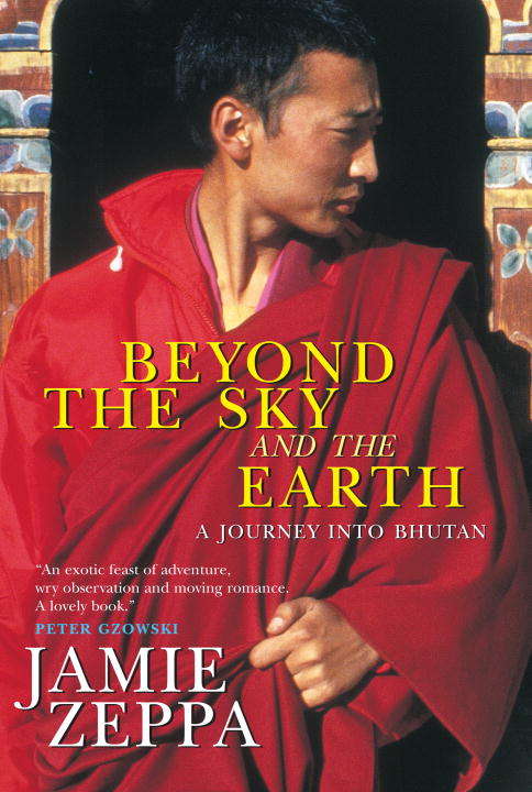 Book cover of Beyond the Sky and the Earth