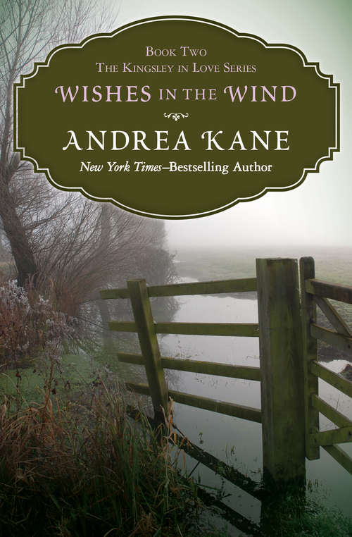 Book cover of Wishes in the Wind