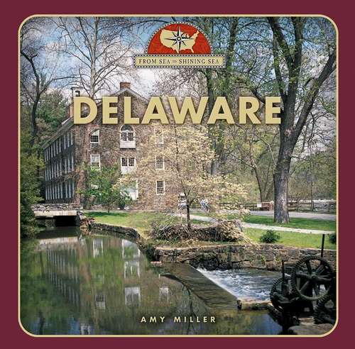 Book cover of From Sea to Shining Sea: Delaware