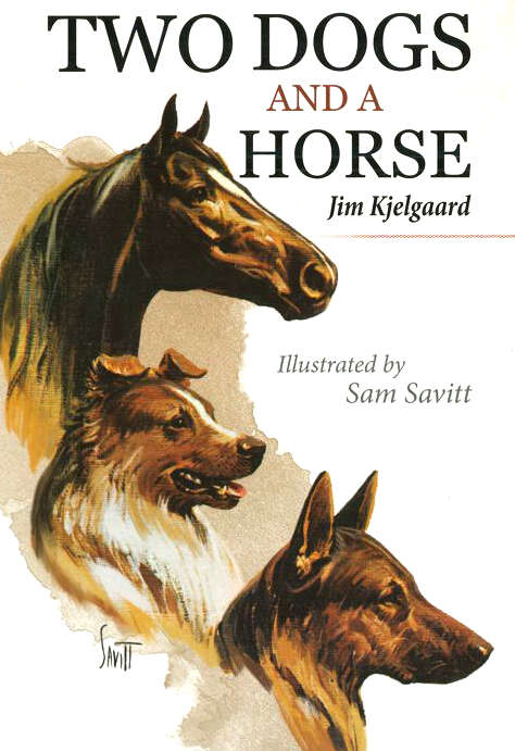 Book cover of Two Dogs and a Horse